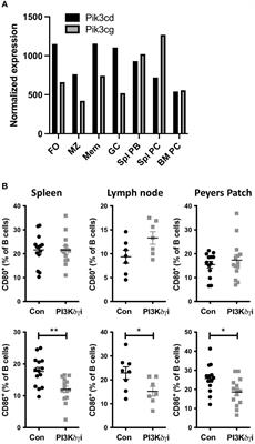 Dual inhibition of phosphoinositide 3-kinases delta and gamma reduces chronic B cell activation and autoantibody production in a mouse model of lupus